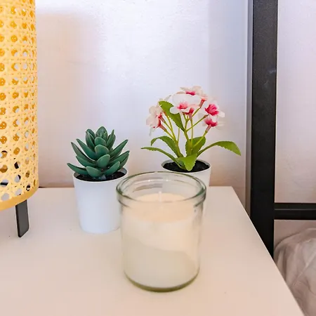 Attico 2 Balcone Parcheggi Gratis Ascensore Pisa